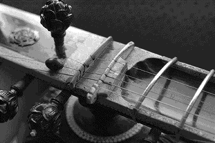 Nikhil Banerjee's sitar-extra jawari bridge